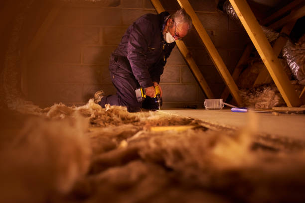 Best Geographic-Specific Insulation Services in Stickney, IL